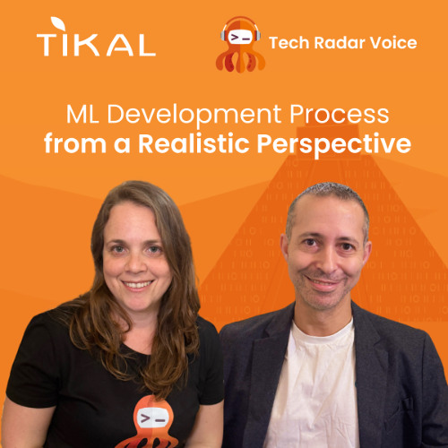 ML Development Process from a Realistic Perspective