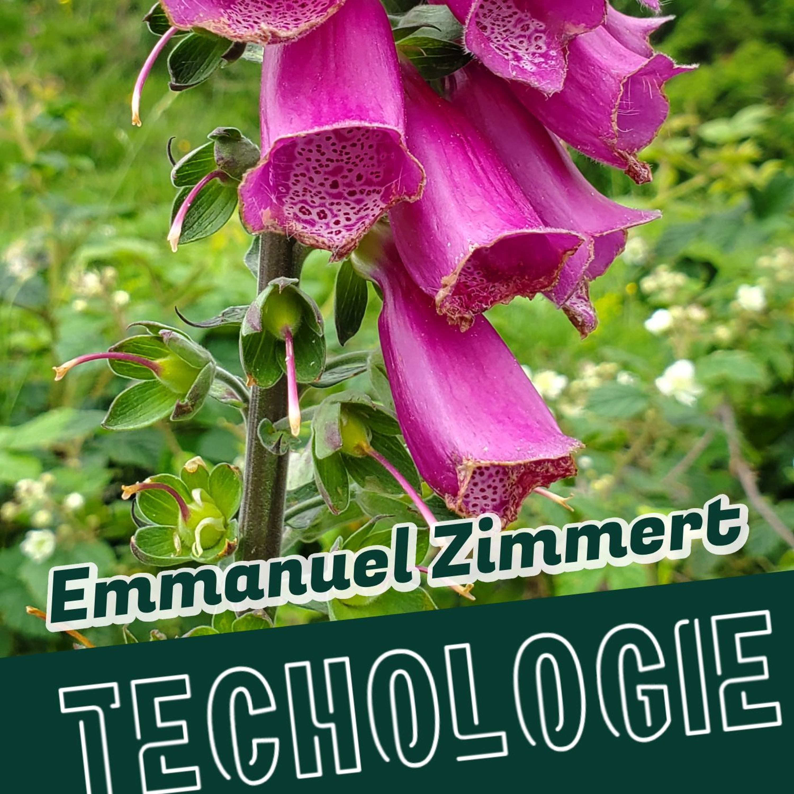 #100 Des outils libres pour l'éducation avec Emmanuel Zimmert