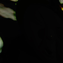 p2