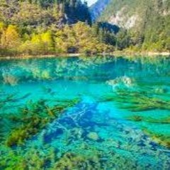 Meditação Limpeza e Equilíbrio das Águas