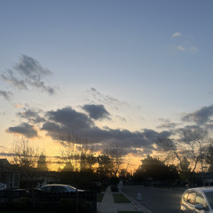 Touch Alice Pheobe lou cover