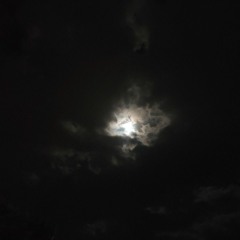 Night & Daylight (2017)