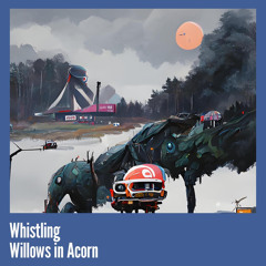Whistling Willows in Acorn