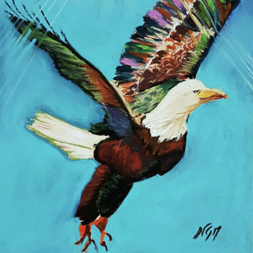 I Fly