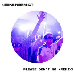 Mike Posner - Please Don't Go (NEEKS N BRANDT Remix)
