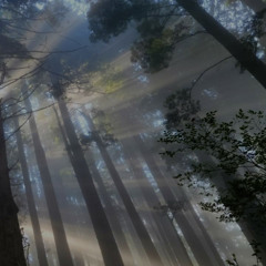 find your theory (p. ROB AMILIANI)