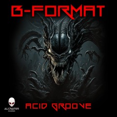 B-Format - Acid Groove