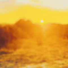 Catch and release Motel Bliss live