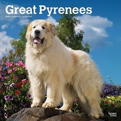 READ [EBOOK EPUB KINDLE PDF] Great Pyrenees | 2023 12 x 24 Inch Monthly Square Wall Calendar | Brown