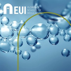 An engineers take on European hydrogen policy: Ronnie Belmans