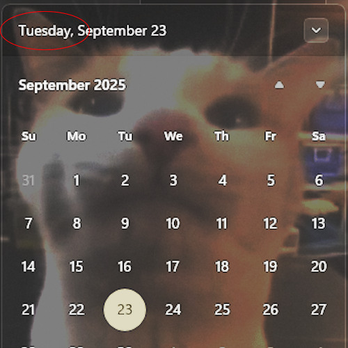 today is tuesday