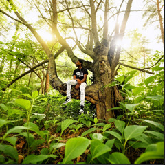 Ptp Jay - Nobody Coming To Save You