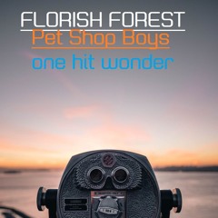 Pet Shop Boys - One hit wonder (Florish Forest Remix 2024)
