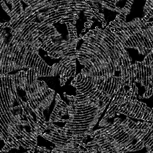 𝑷𝒓𝒆𝒎𝒊𝒆𝒓𝒆: MARMO - Vortexes (Braindance Deep Remix) [ESPER005]