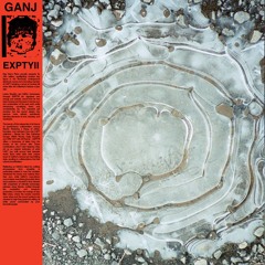 PREMIERE: GANJ - Au Milieu Des Tombes Featuring PussyR [Dee Dee's Picks]