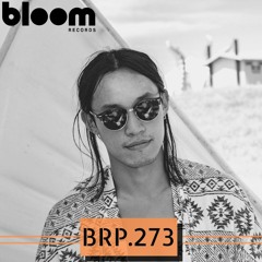 BRP 273 - AURKA