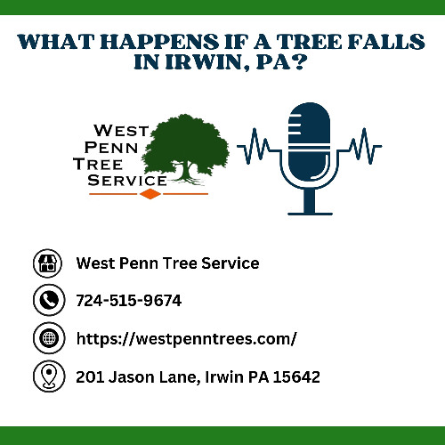 What Happens If a Tree Falls in Irwin, PA?