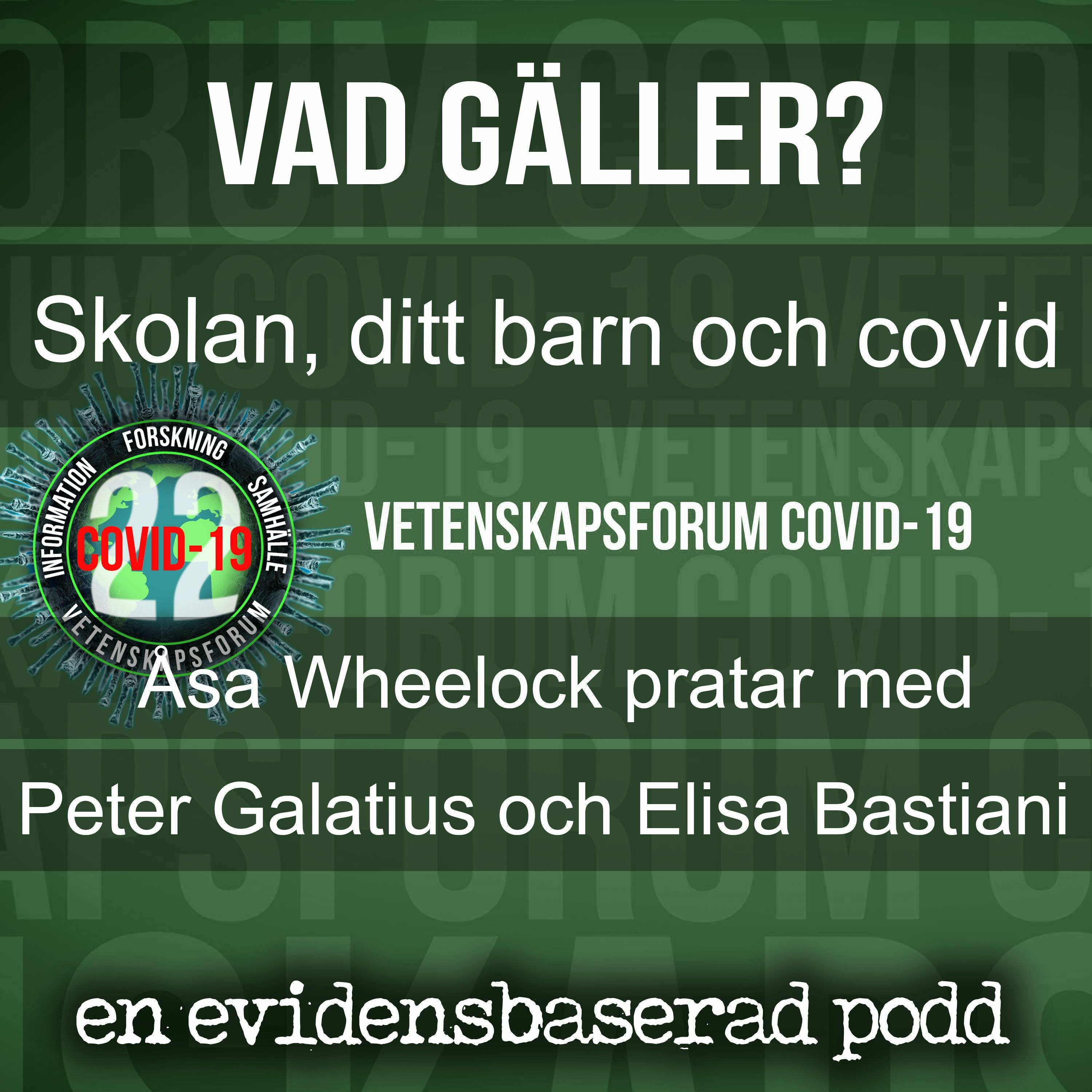 Vetenskapsforum covid-19