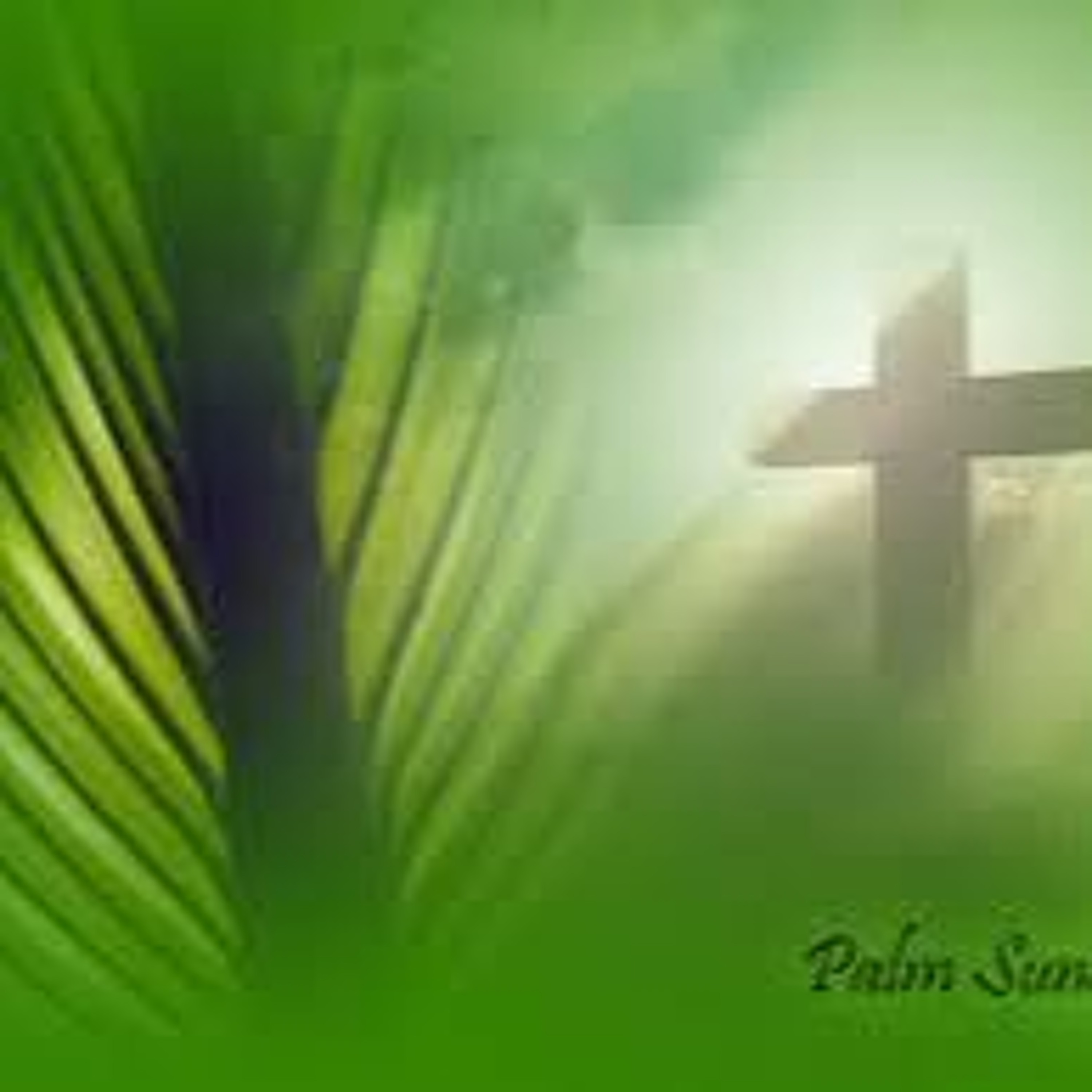 Palm Sunday Message