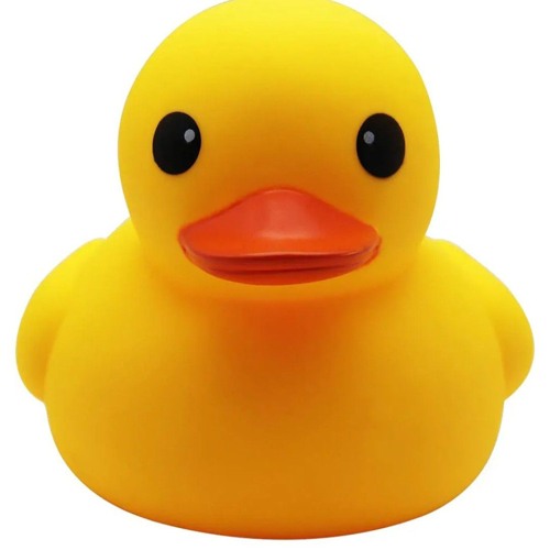 Yall Niggas Ducks!