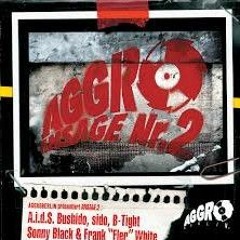 Aggro Berlin - Intro Teil 2