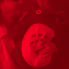 london hatred b2b madilickk @ colour factory - 9/5/25