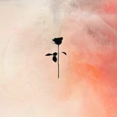 PREMIERE : Erly Tepshi, SANDHAUS - Here (Original Mix) [Black Rose]