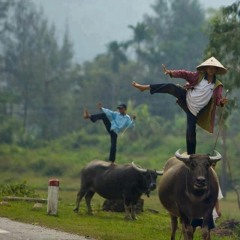Buffalo Bull Dance