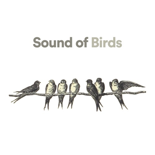 Stream dust975 | Listen to Birds playlist online for free on SoundCloud