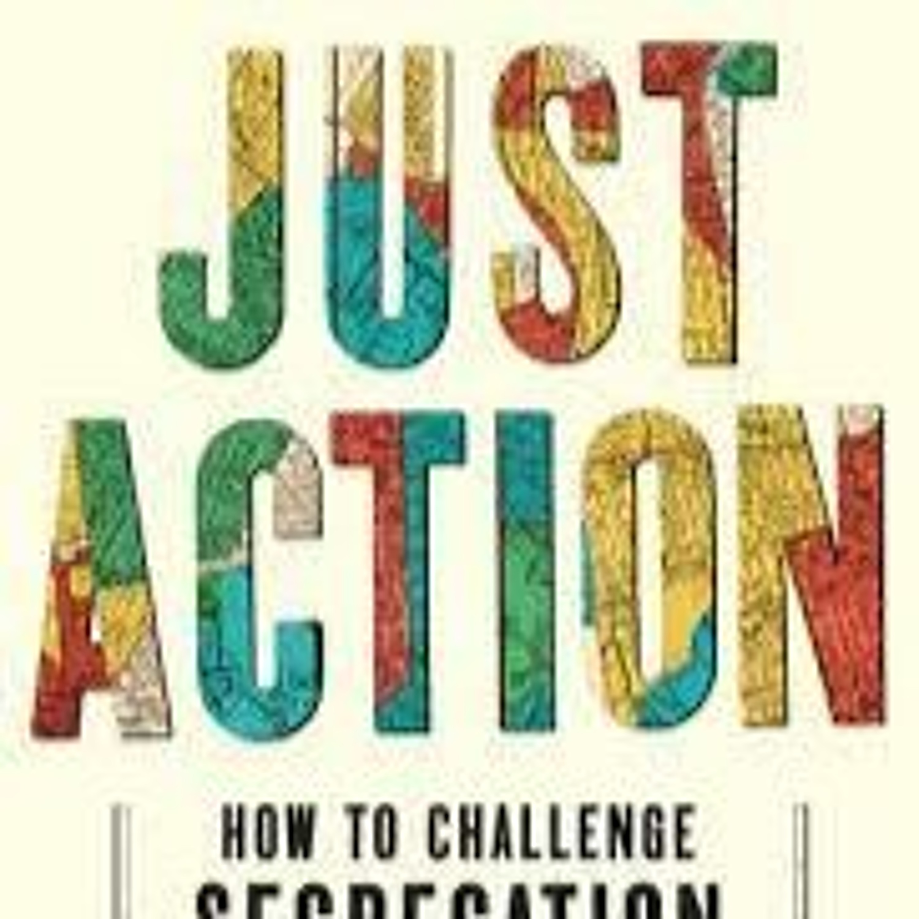 Just Action by Richard and Leah Rothstein