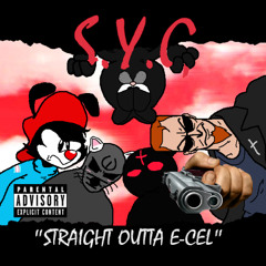 "Straight" Outta E-Cel