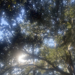 Who are you? thracks.prod tylo🍁