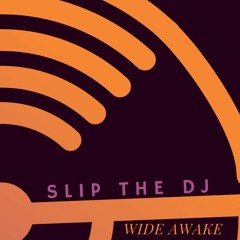 SLIP THE DJ
