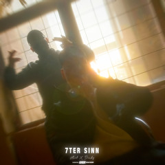 7ter SINN