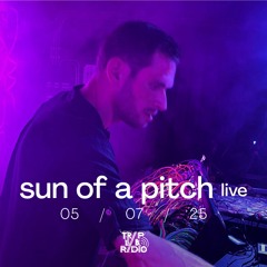 Sun Of A Pitch (Live)