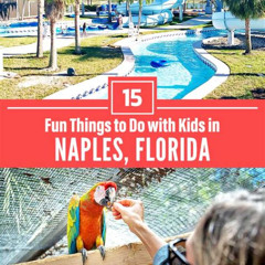 Best Things To Do In Naples Florida With Family Tours Reviews