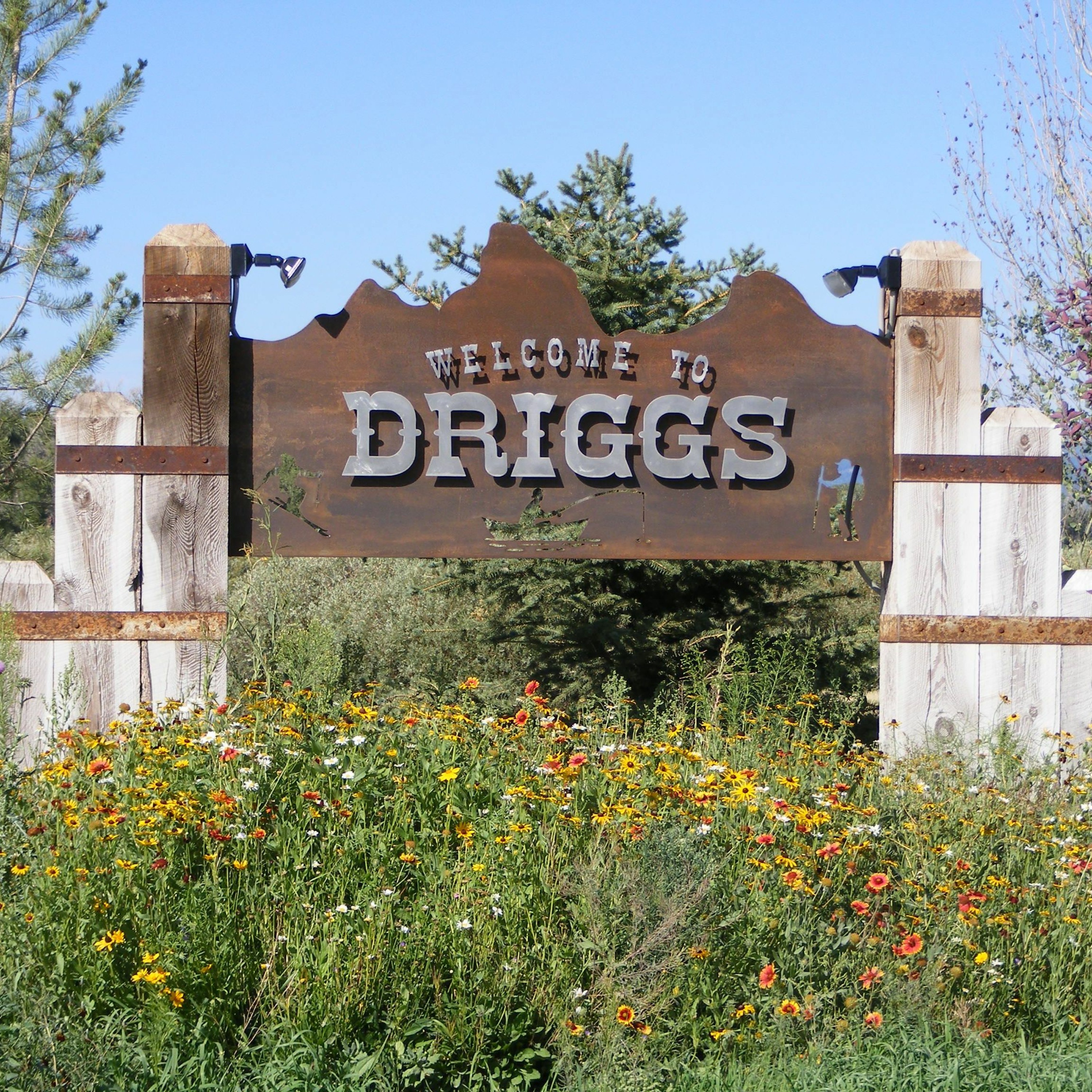 News Brief April 23 | Driggs to Lift Mask Mandate, Migratory Birds Dying at Alarming Rates Out West episode artwork