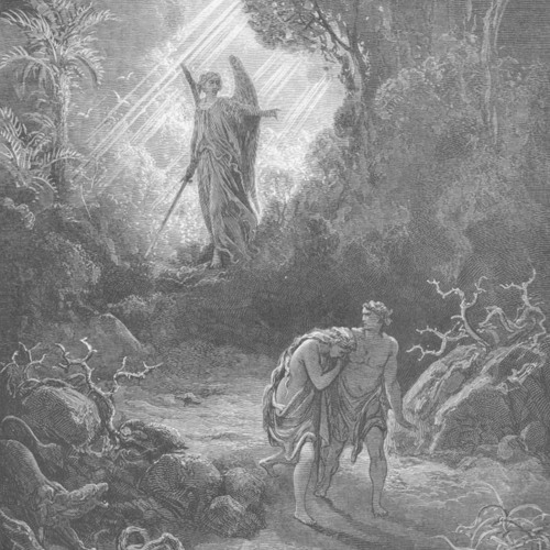 Fallen Peach Luffe (slowed)