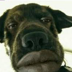 fuck love - trippie only