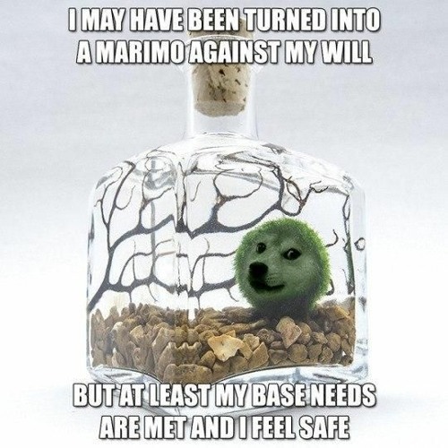 ecco2k and bladee live nts on sash birthday