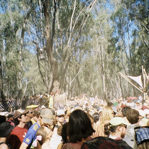 Celebrating 15 Years of Strawberry Fields Application