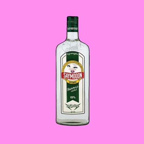 SAYMOOON - BOROVIČKA ( BOOTLEG )