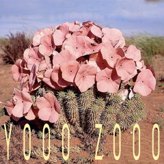 Yooo Zooo - Dubstation - Fusion 2023