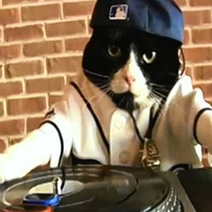 MR DJ KITTY