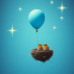 How birds fly