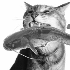 Cat Fishing | Peaktime/Driving Techno Mixset