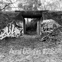 Mehdi El-Aquil 'Aural delights #23'