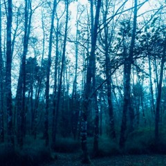 Within Reach
