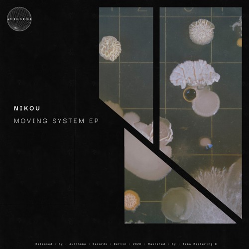 Nikou - Flying Bird (Synthetic Love Remix) [ATNM005]