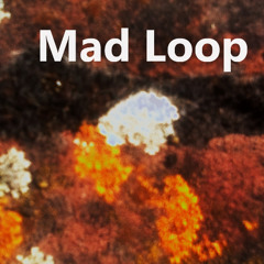 mad loop - boop
